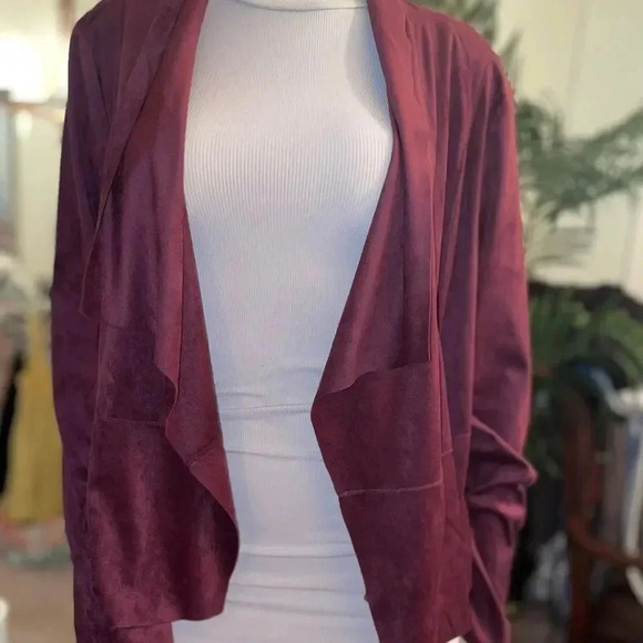 SOPHIA JEANS BY SOPHIA VERGERÀ FAUX SUEDE MOTO JACKET IN FIG SIZE LARGE - Picture 15 of 16